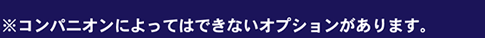 ※コンパニオンによってはできないオプションがあります。